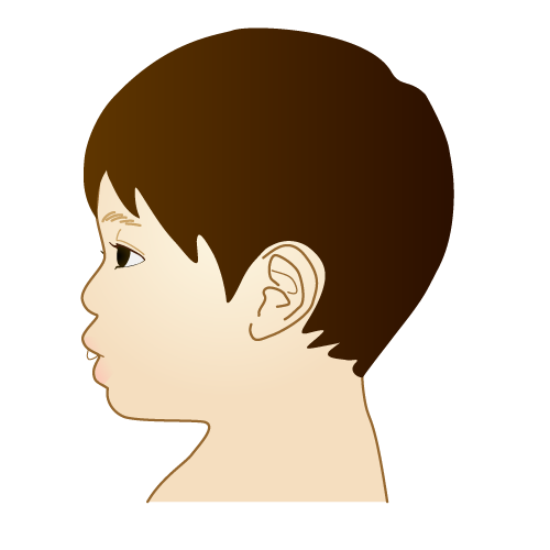 smarteeGS（スマーティーGS）